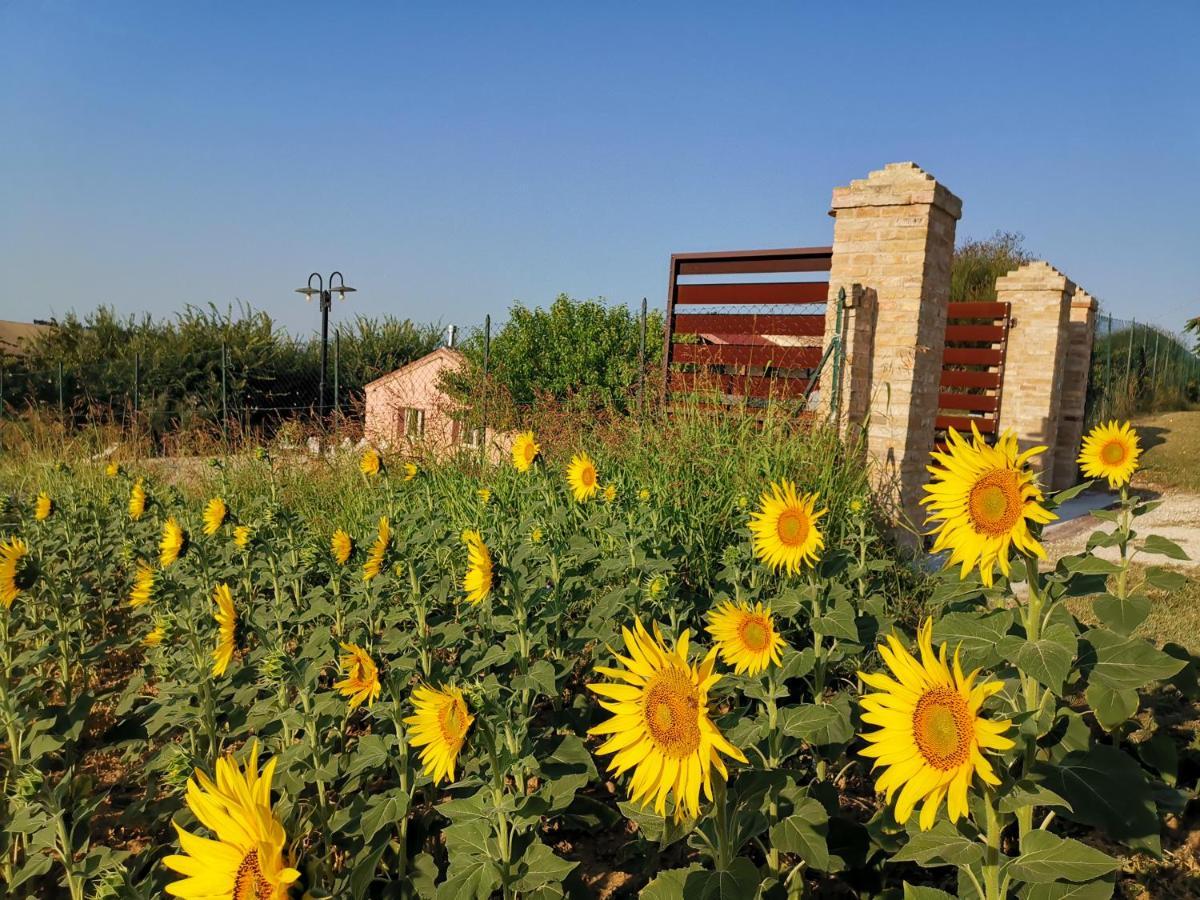 B&B Ceresà - Country House Loreto Exterior foto