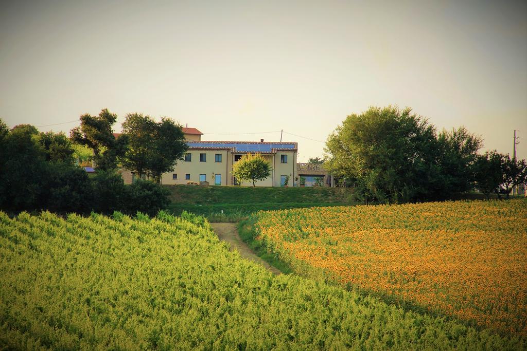 B&B Ceresà - Country House Loreto Exterior foto